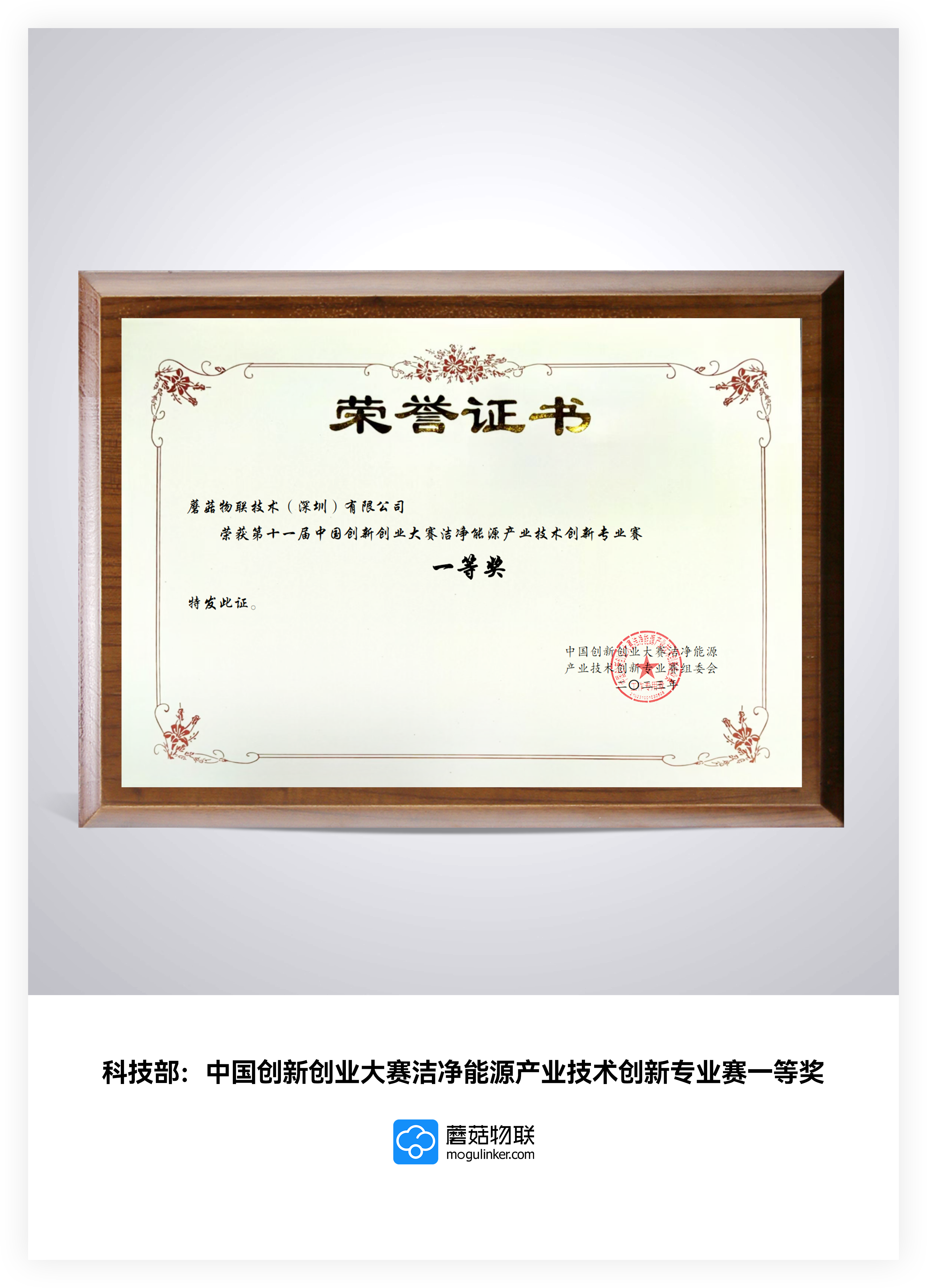 科技部中国创新创业大赛洁净能源产业技术创新专业赛一等奖