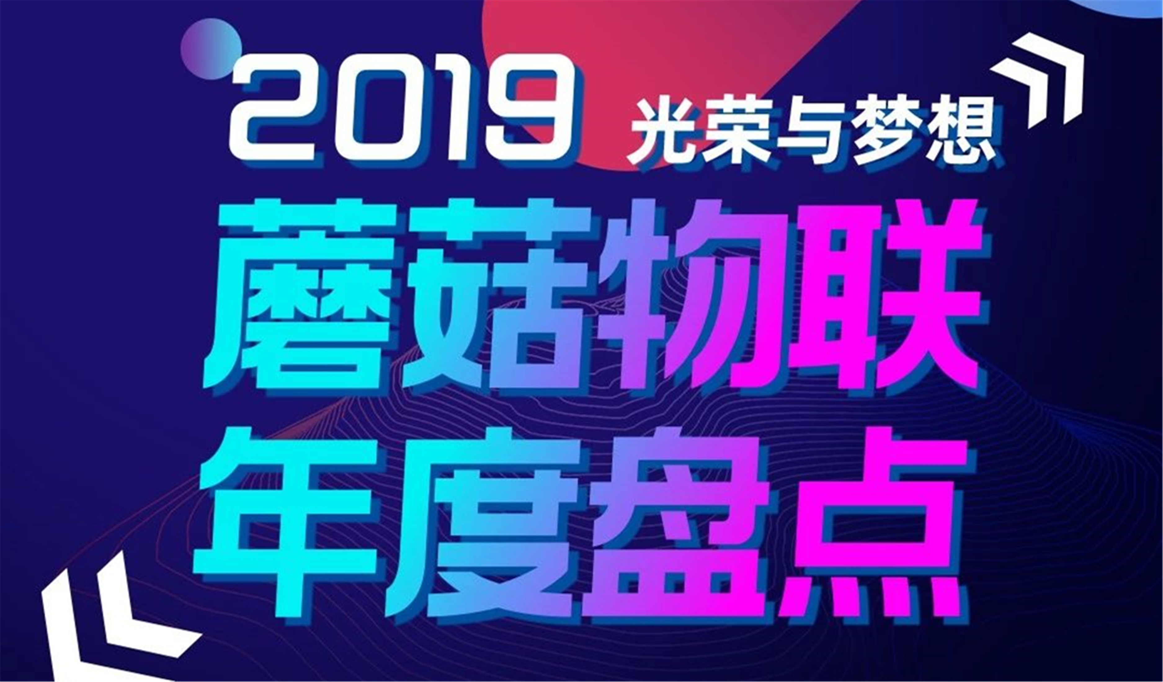 2019光荣与梦想·蘑菇物联年度盘点