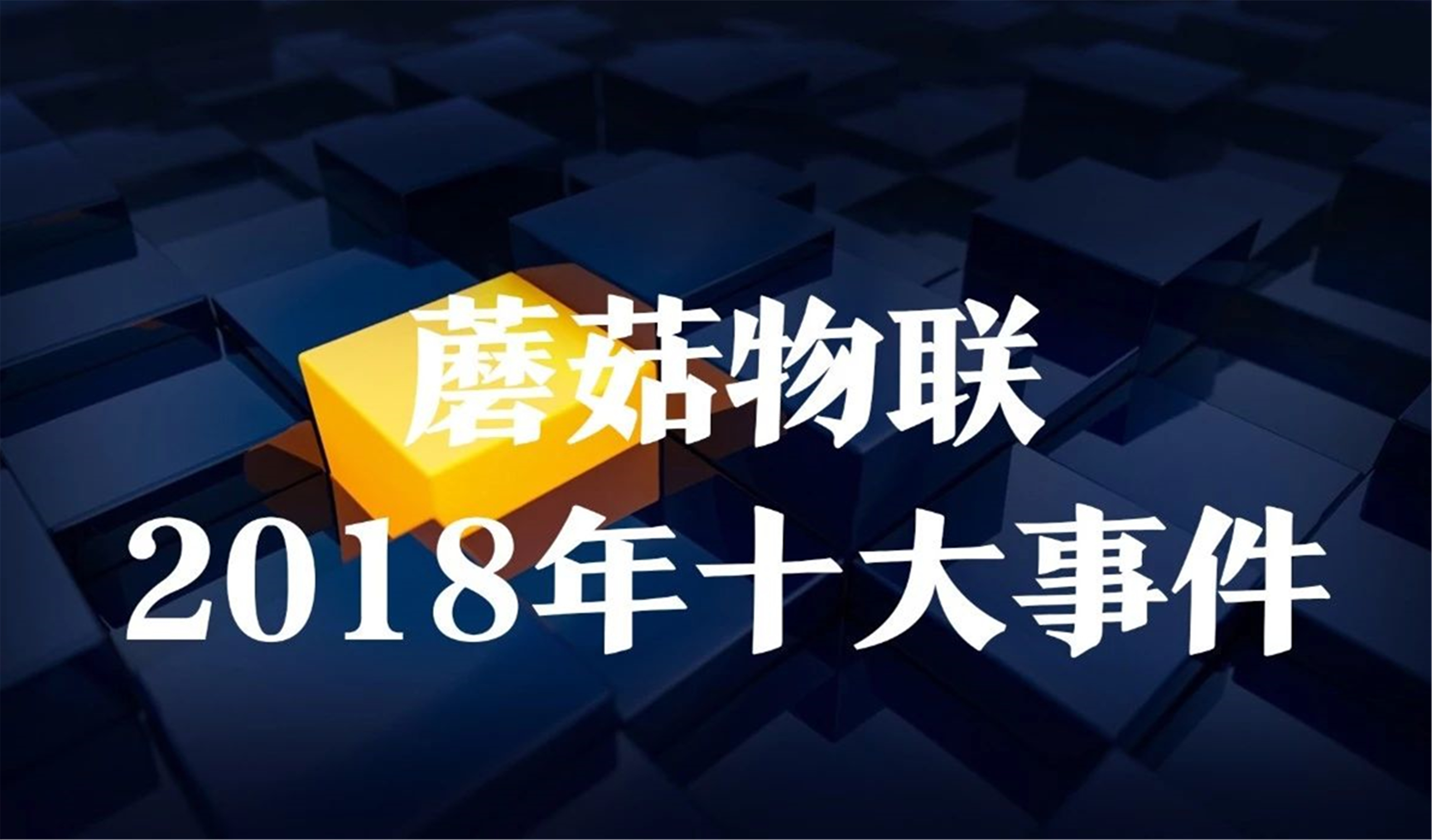 回顾2018， 我们的这一年！